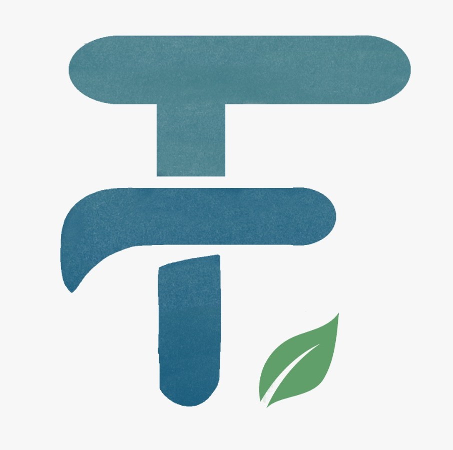 Logo-site-Brice Lauret